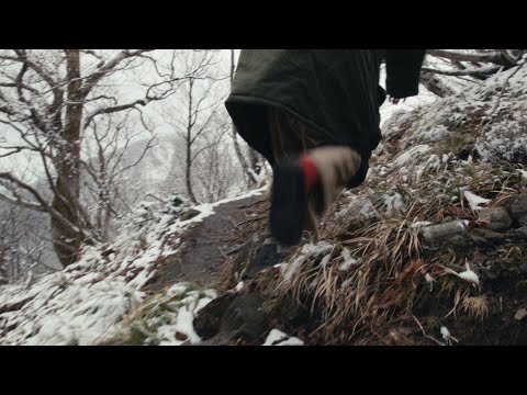 all videos