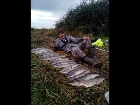 ловля щуки в татарстане видео ловля щуки в татарстане видео