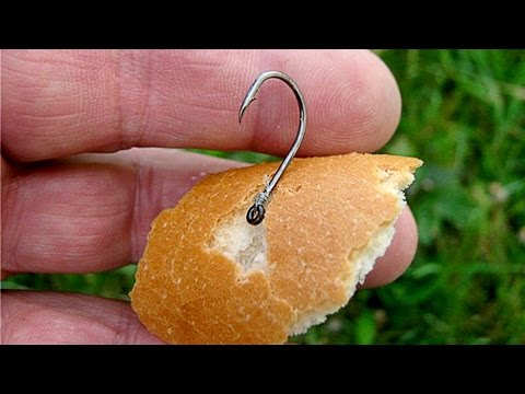 Как из хлеба сделать приманку для рыбы в домашних условиях Как из хлеба сделать приманку для рыбы в домашних условиях