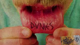 Dune Rats - Bobby D (Official Audio)