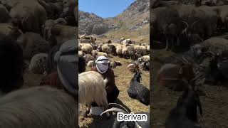 Beriwan