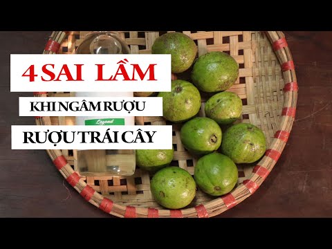 4 SAI LẦM KHI NGÂM RƯỢU ỔI | RƯỢU HOA QUẢ | RƯỢU TRÁI CÂY