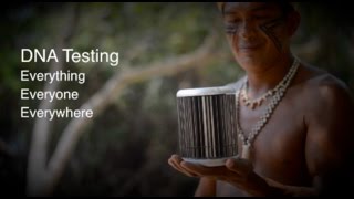 Real-Time Pcr In The Amazon Jungle