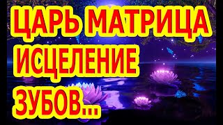 Царь Матрица Исцеление Зубов, Десен, Челюстей И Ротовой Полости.