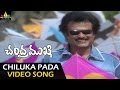 Chandramukhi Video Songs | Chiluka Pada Pada Video Song | Rajinikanth, Jyothika, Nayanatara