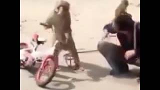 Gulmeli Prikol Meymun