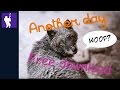 Another Day - Free Download Theme
