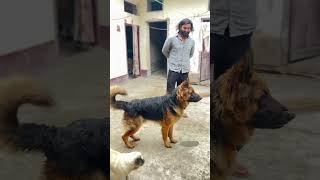 Simbha Z Security