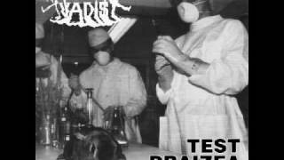 Watch Quo Vadis Test Draizea video