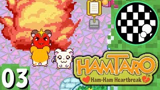 Hamtaro Ham Ham Heartbreak Part 3