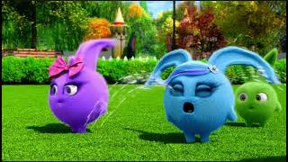 Spliced Intro Hebrew