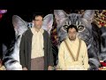 Adorable Kittens (Music Video)