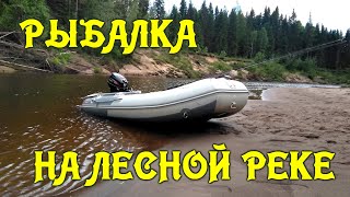 Рыбалка на лесной реке Открытие сезона 2020