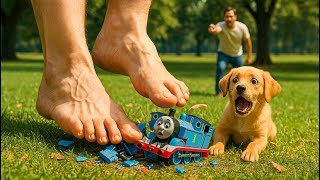 Misunderstood Puppy Did The Impossible To Rescues Thomas Train From Giant Foot
