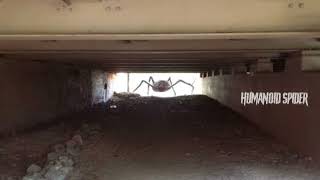 Humanoid Spider Sounds