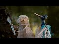 Kooky - English ver. Trailer