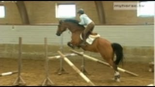 Jumping Exercise No. 1