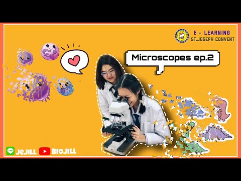 Microscope EP2 ส่วนประกอบของกล้องจุลทรรศน์ biology biojill