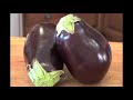 eggplant