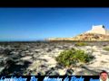 djerba mezoued