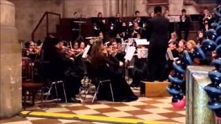 CHS Symphony orchestra - St. Stephen's Cathedral, Vienna, Austria