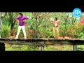 Nee Navve Song - Devi Movie - Prema - Vanitha - Sijju - Devi Sri Prasad Nee Navve Song - Devi Movie - Prema - Vanitha - Sijju - Devi Sri Prasad
