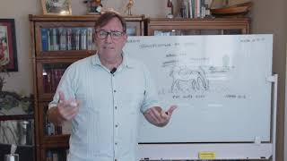 The Heart of Jesus | Spiritual Workout