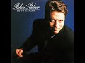 Robert Palmer - Don't Explain (Billie Holiday / Arthur Herzog's Cover) [Audio HQ]
