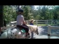 Owen's 7th Birthday Party Chastain Horse Park