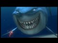 Gdzie jest Nemo 3D - Morskie fakty #1. 呕ar艂o