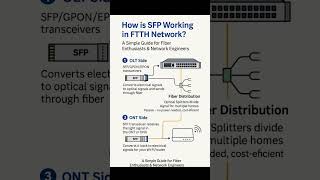 How Sfp Works In Ftth Networks Olt, Fiber Splitters & Ont Explained