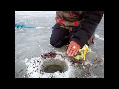 что клюет на можайском водохранилище что клюет на можайском водохранилище