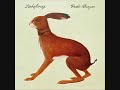 Vashti Bunyan - Here Before