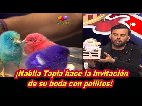 Polémica Por Invitación De Nabila Tapia Con Pollitos Reales En Su Interior