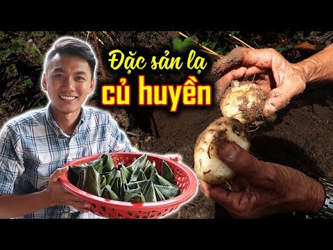 Lần đầu làm BÁNH ÍT BỘT HUYỀN. LẠ MÀ NGON |Du lịch Miền Tây