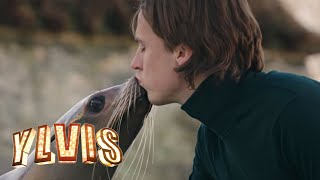 Watch Ylvis Language Of Love video