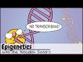 Epigenetics