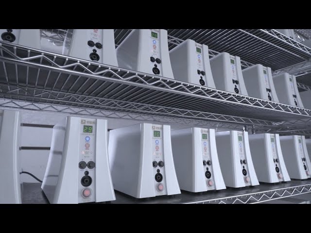 全部影片