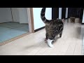 maru