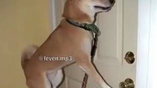 licky licky on my blicky uh