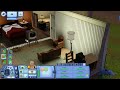 The Sims