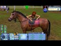 The Sims