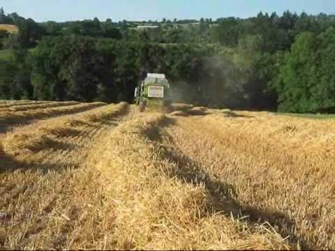 moisson de l orge 2009 dans le 12 moisson de l orge 2009 dans le 12 klip izle