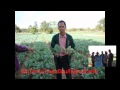 สารปรับสภาพดินตราดวงแก้ว