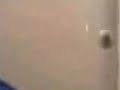 الزب