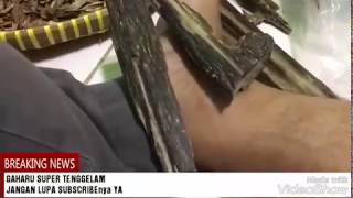 CARA TEST GAHARU SUPER