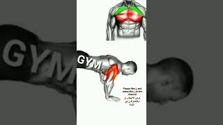 Najjar Personal Exercises. Body Building . Home Workoutsتدريب شخصي.تدريب منزلي.كمال أجسام