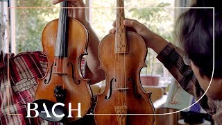 The Baroque violin and bow | Netherlands Bach Society