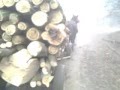 probe cai armasari lui vasi uca 0756255299