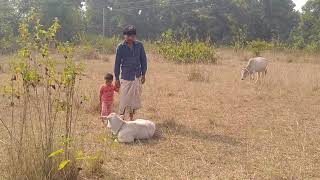 Myvillage Lifestyle Videos Ep 18 Indian Village Morning Routine